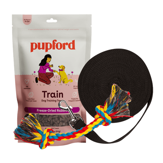 training starter pack with rabbit treats large lead | Pupford
