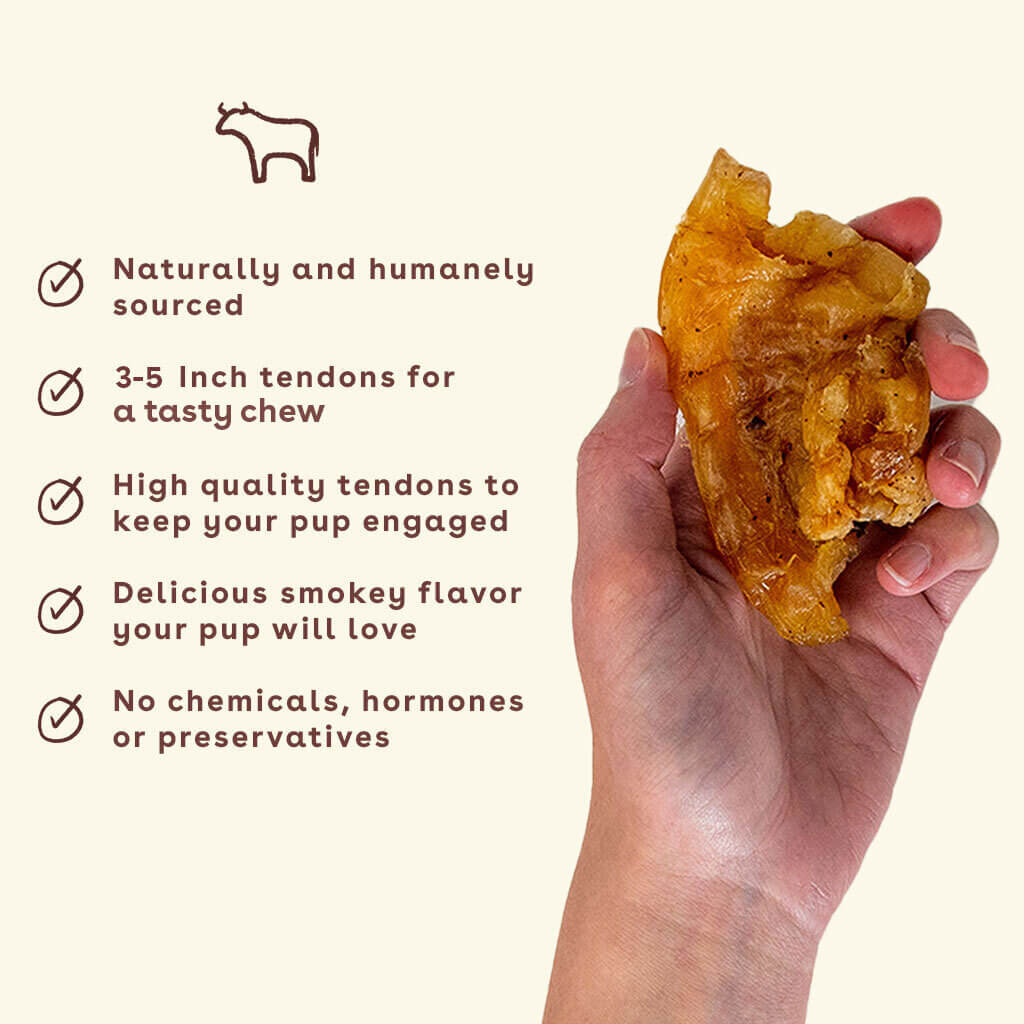 Beef-Tendon-chew-in-hand-with-benefits