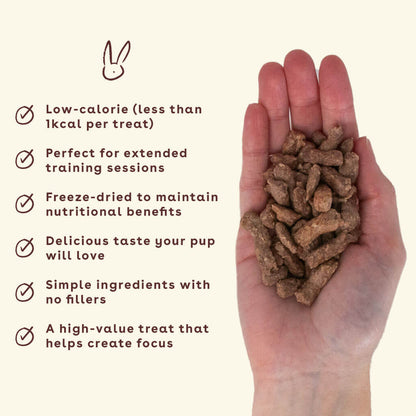 New_rabbit-treats-in-hand-with-benefits