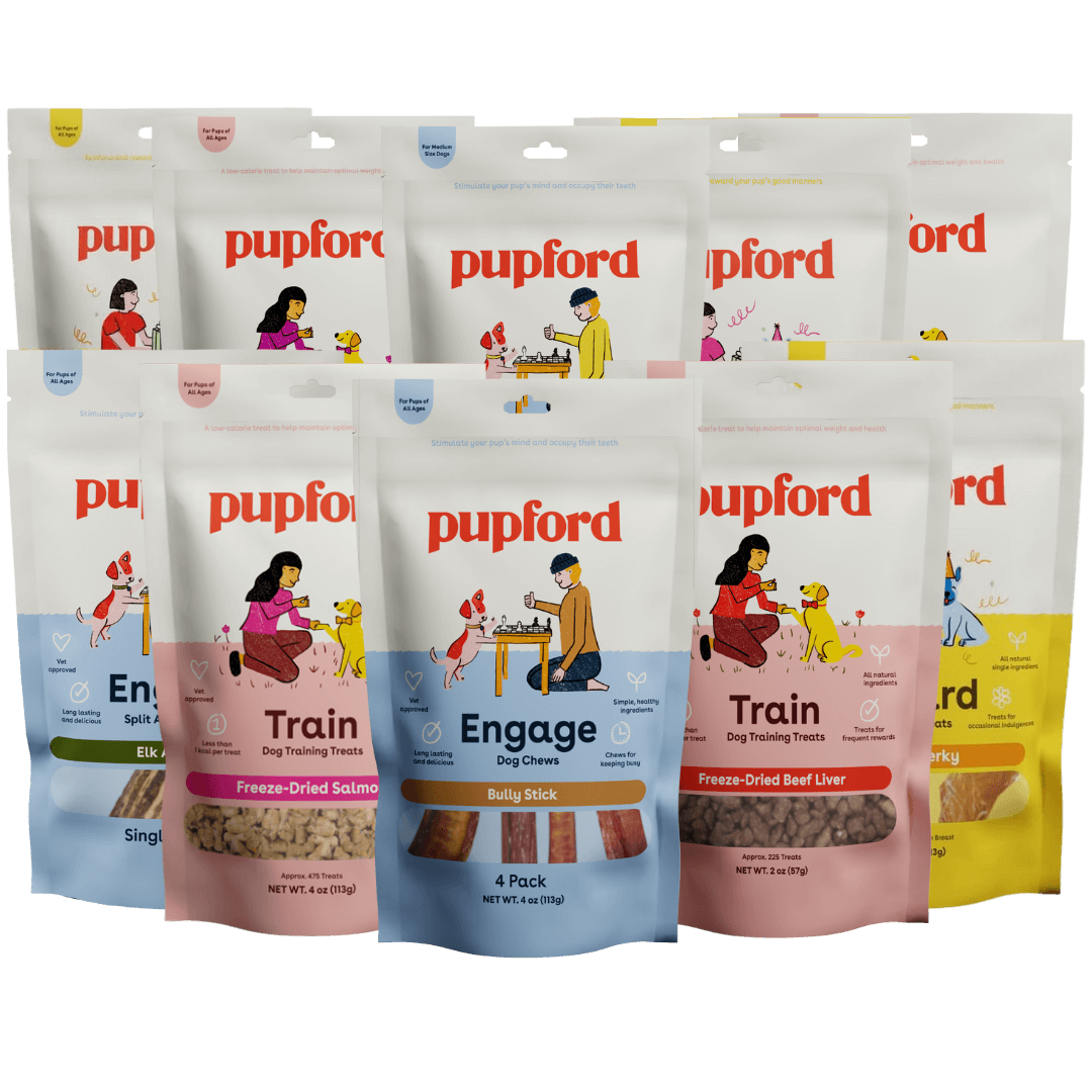 large dog superb pack