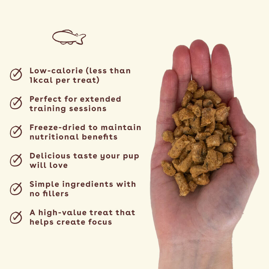 -New_Salmon-treats-in-hand-with-benefits