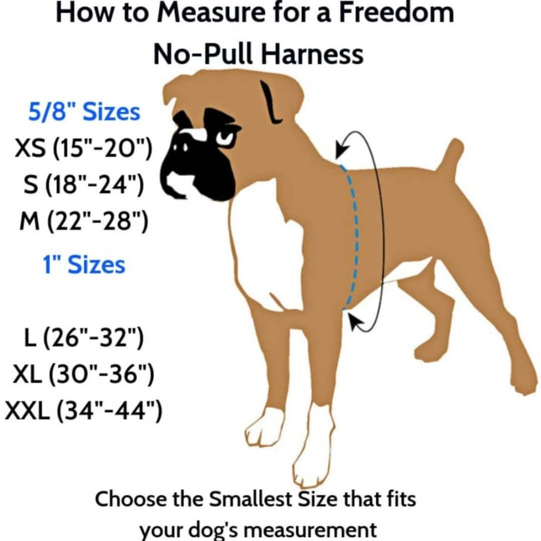 how to measure for a freedom no-pull harness | Pupford 