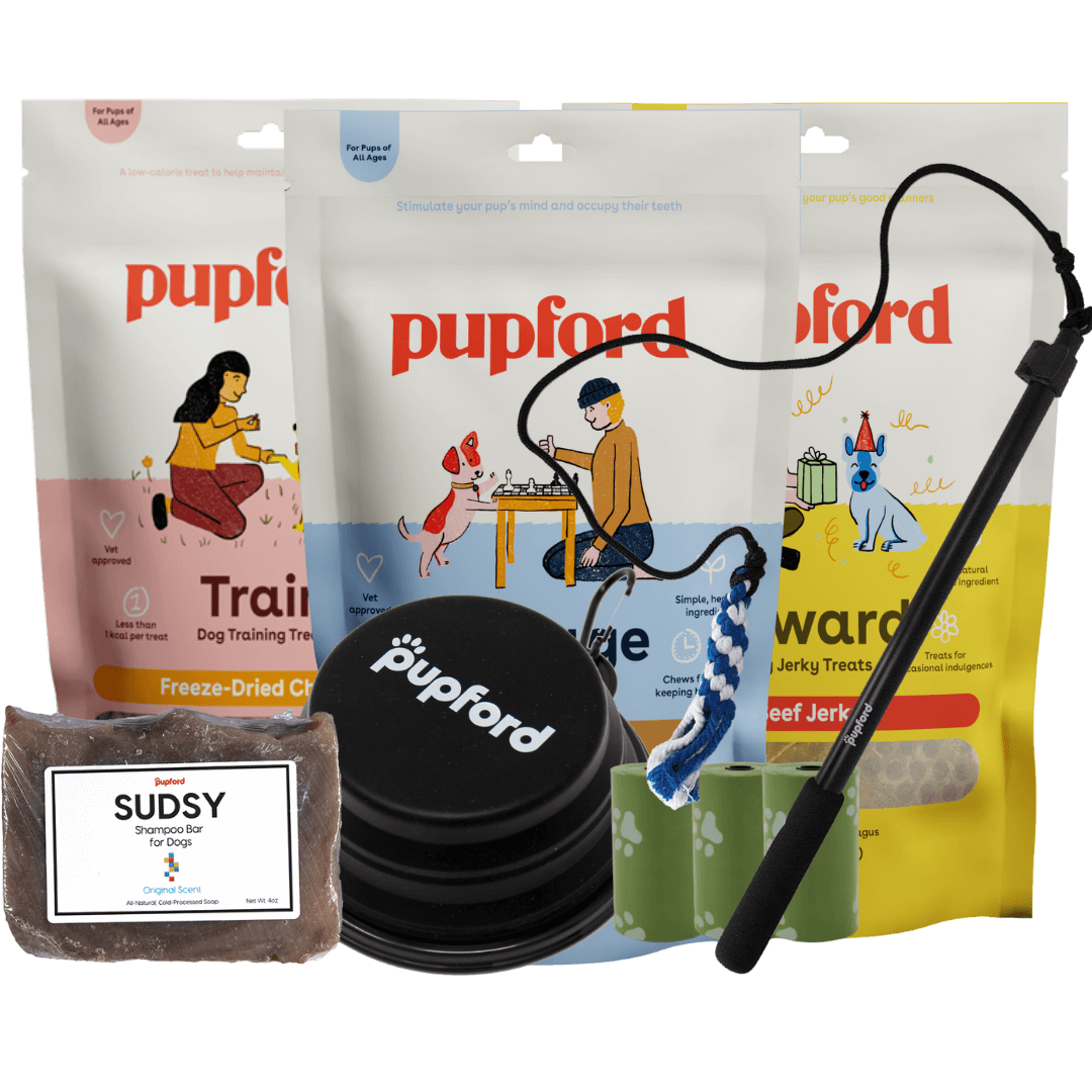 summer pup pack large