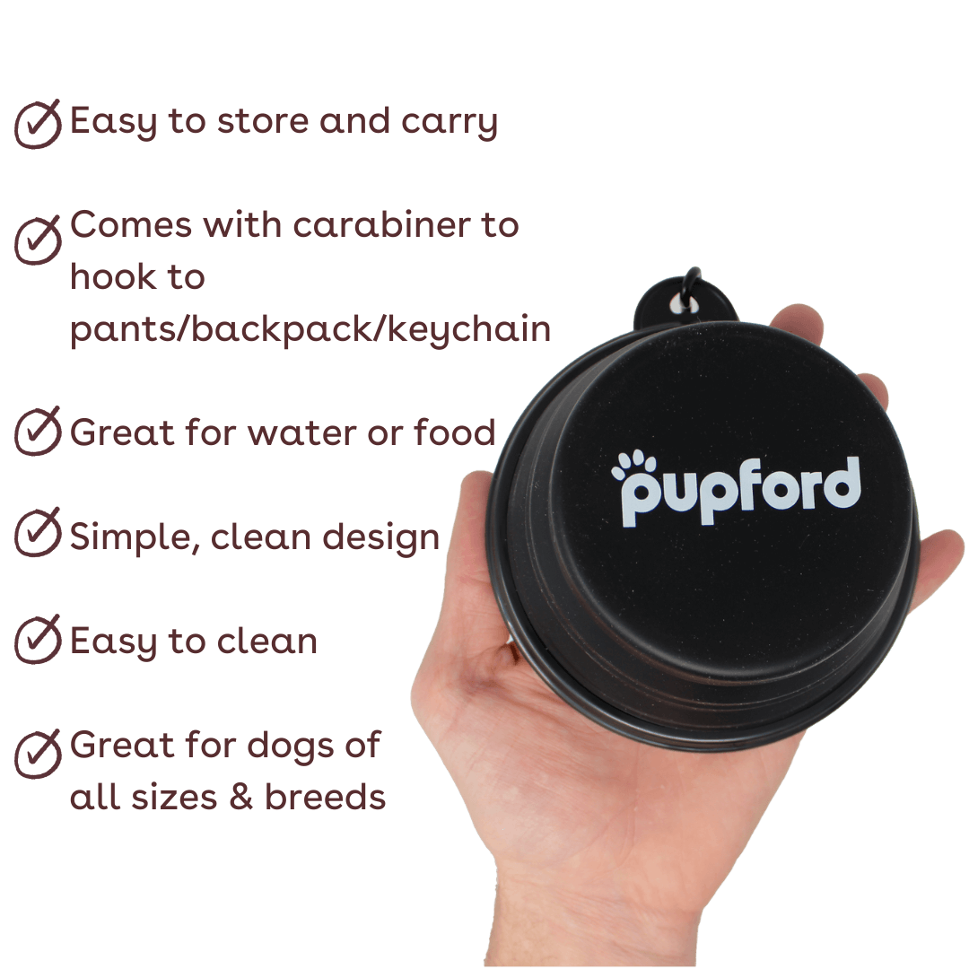 collapsible bowl in hand with benefits