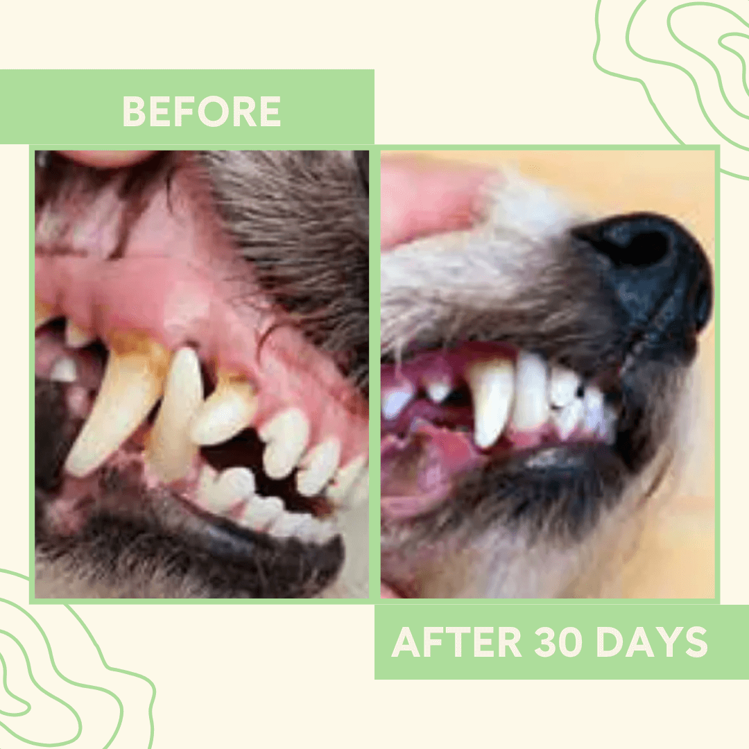 before after using oral hygiene solution