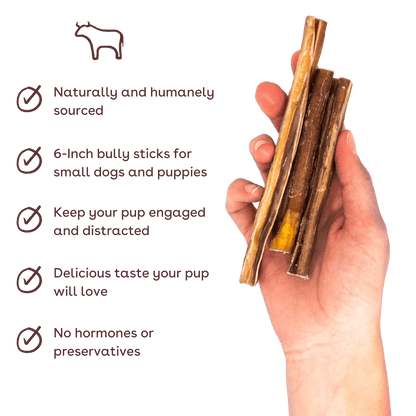skinny bullysticks in hand
