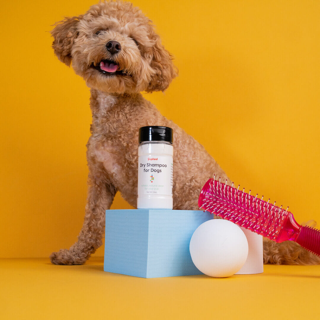 Dry Shampoo