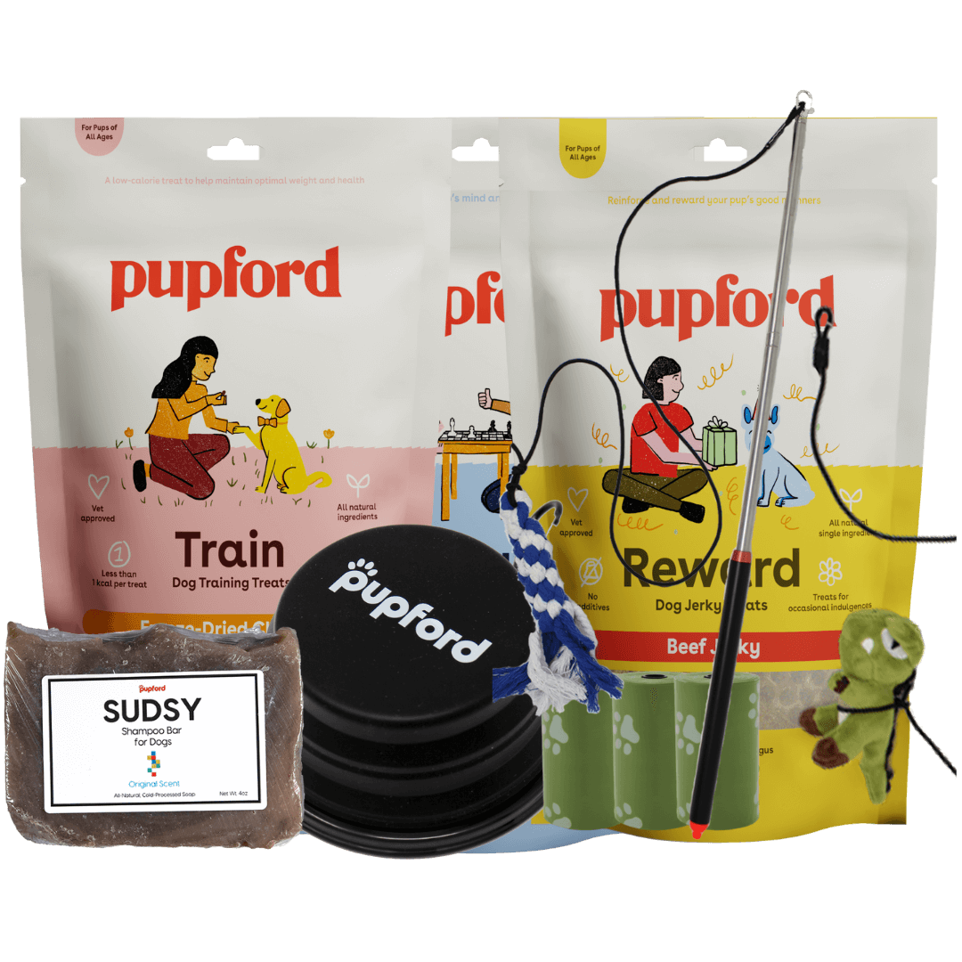 summer pup pack small
