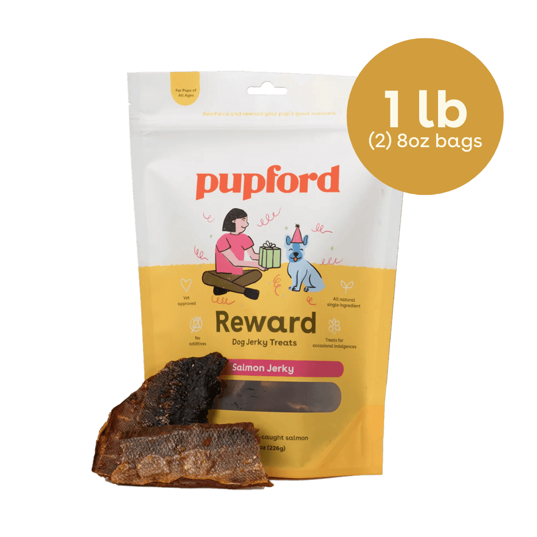 salmon jerky 2 bags