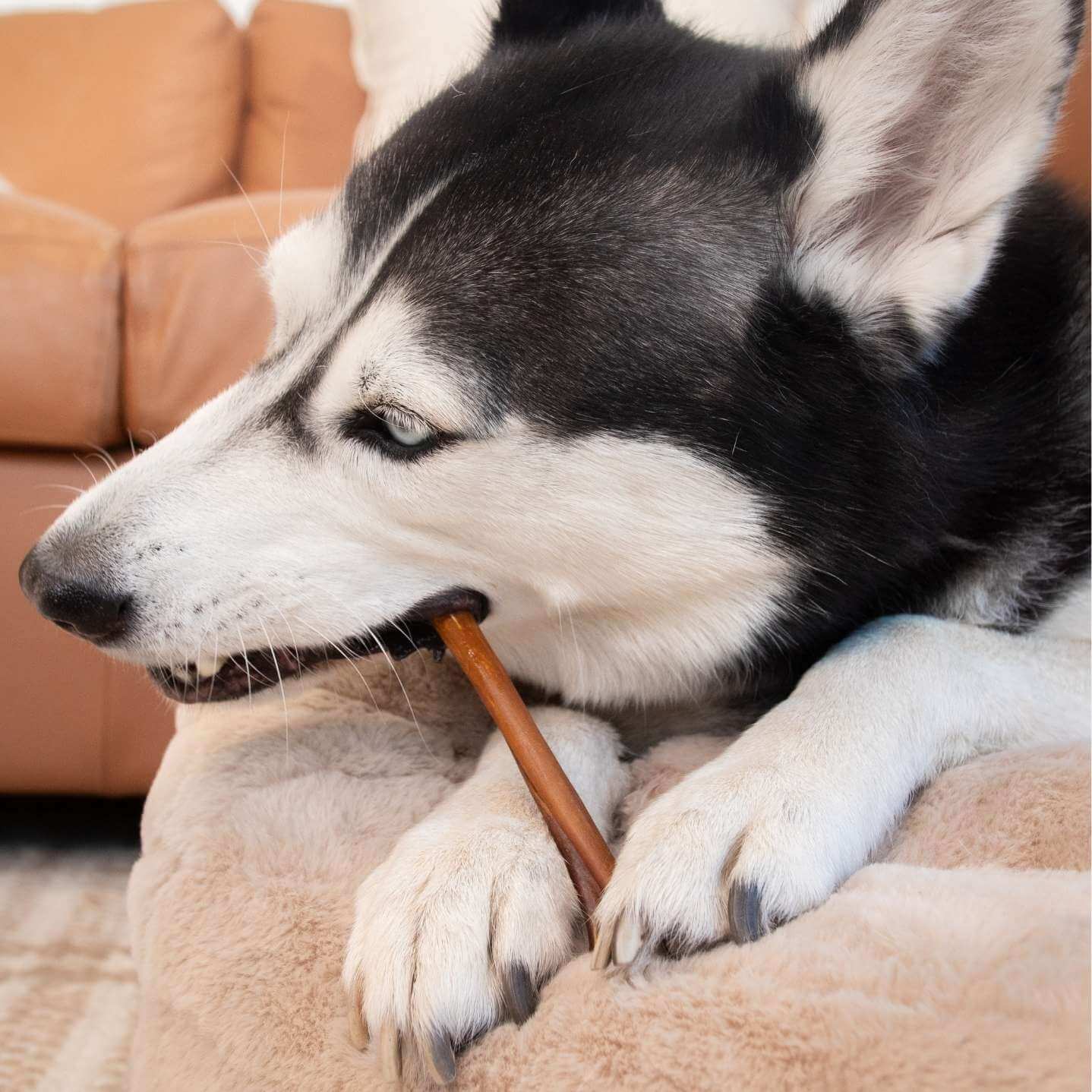 How to Use Collagen Sticks: