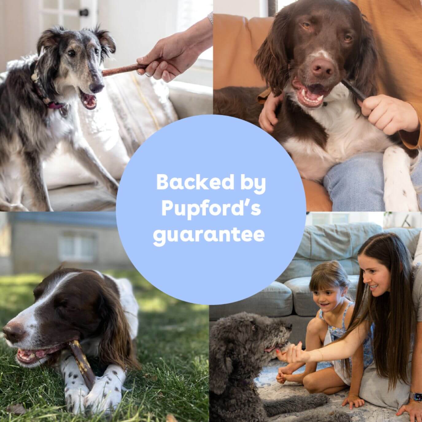 pupford guarantee on collagen sticks | Pupford