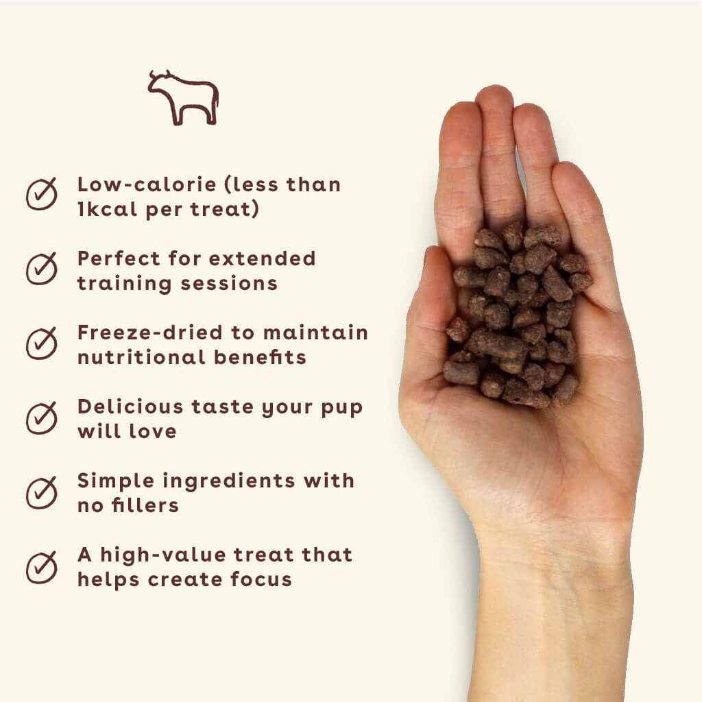 New_Beef-treats-in-hand-with-benefits-amazon-(1) | Pupford