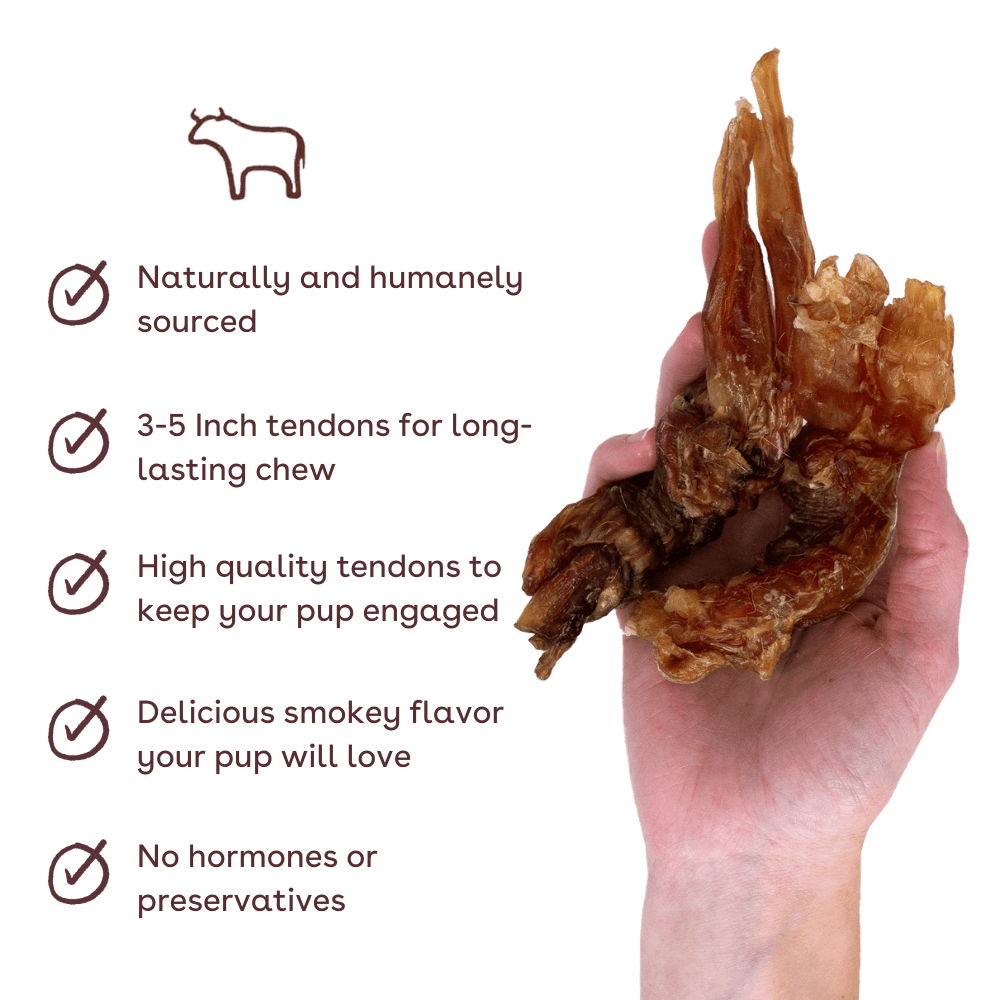 thick beef tendon in hand