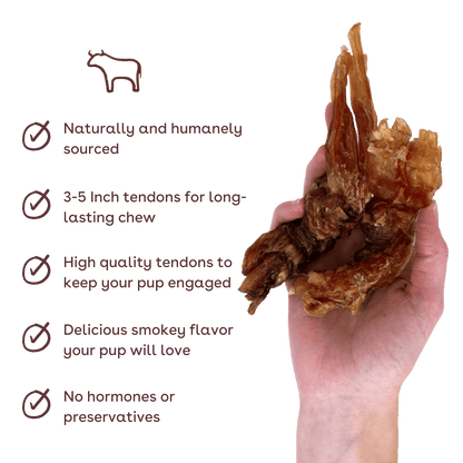 thick beef tendon in hand