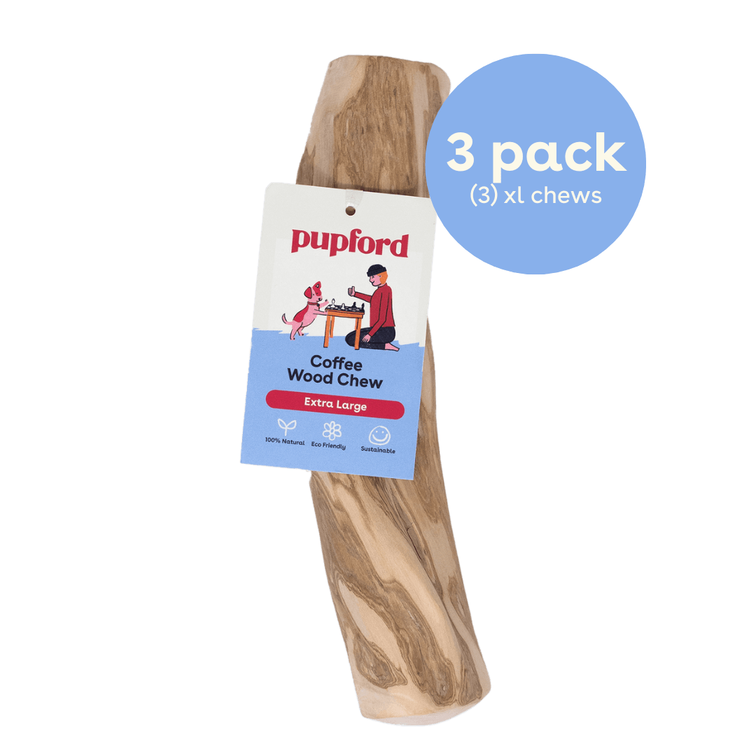 xl 3 pack coffee chews