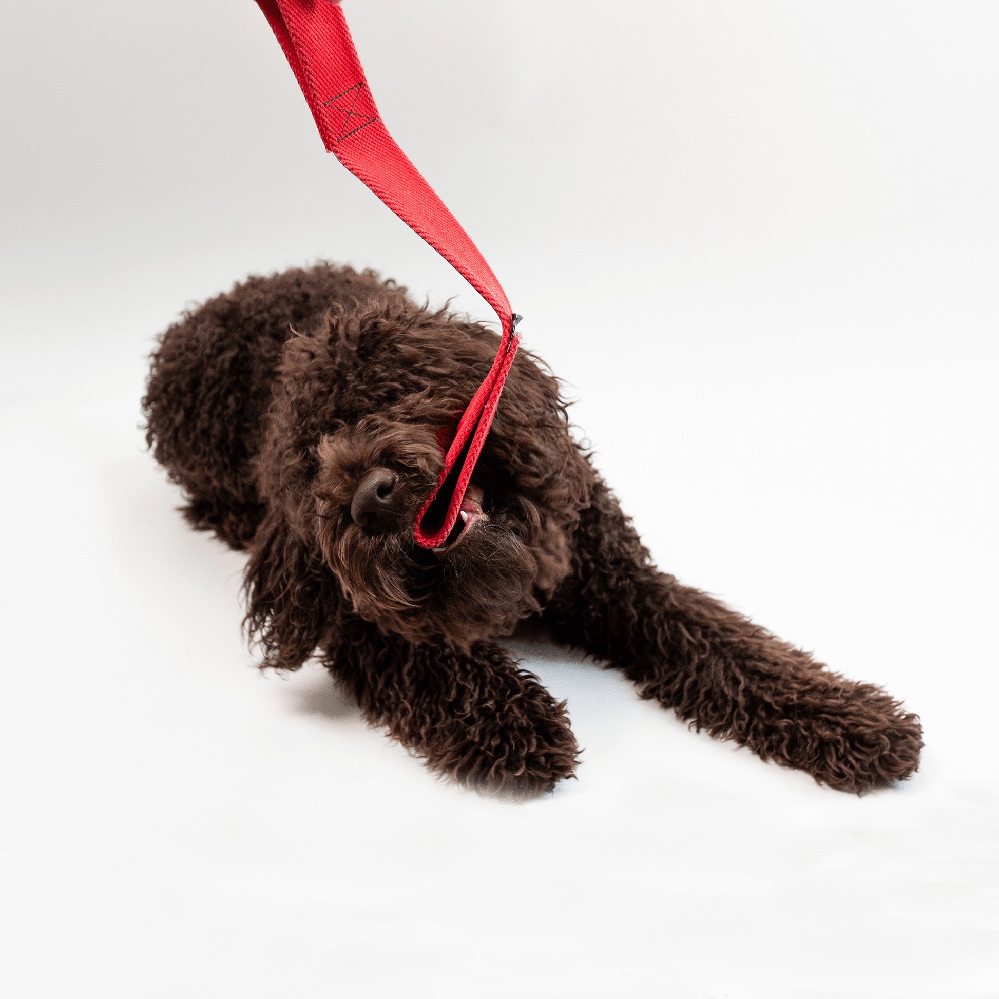 Firehose Tug Toy