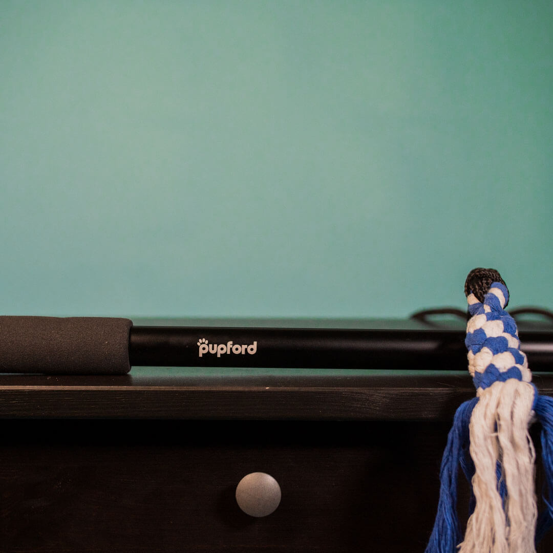 flirt pole on a table | Pupford 