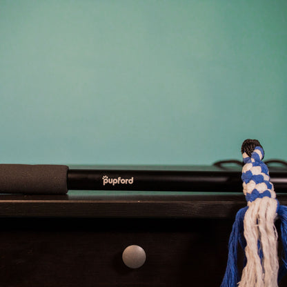 flirt pole on a table | Pupford 