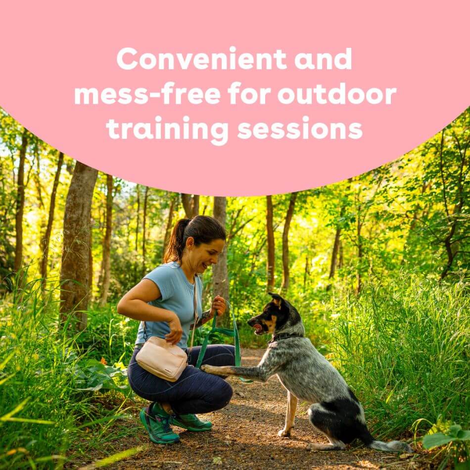 mess free dog treats