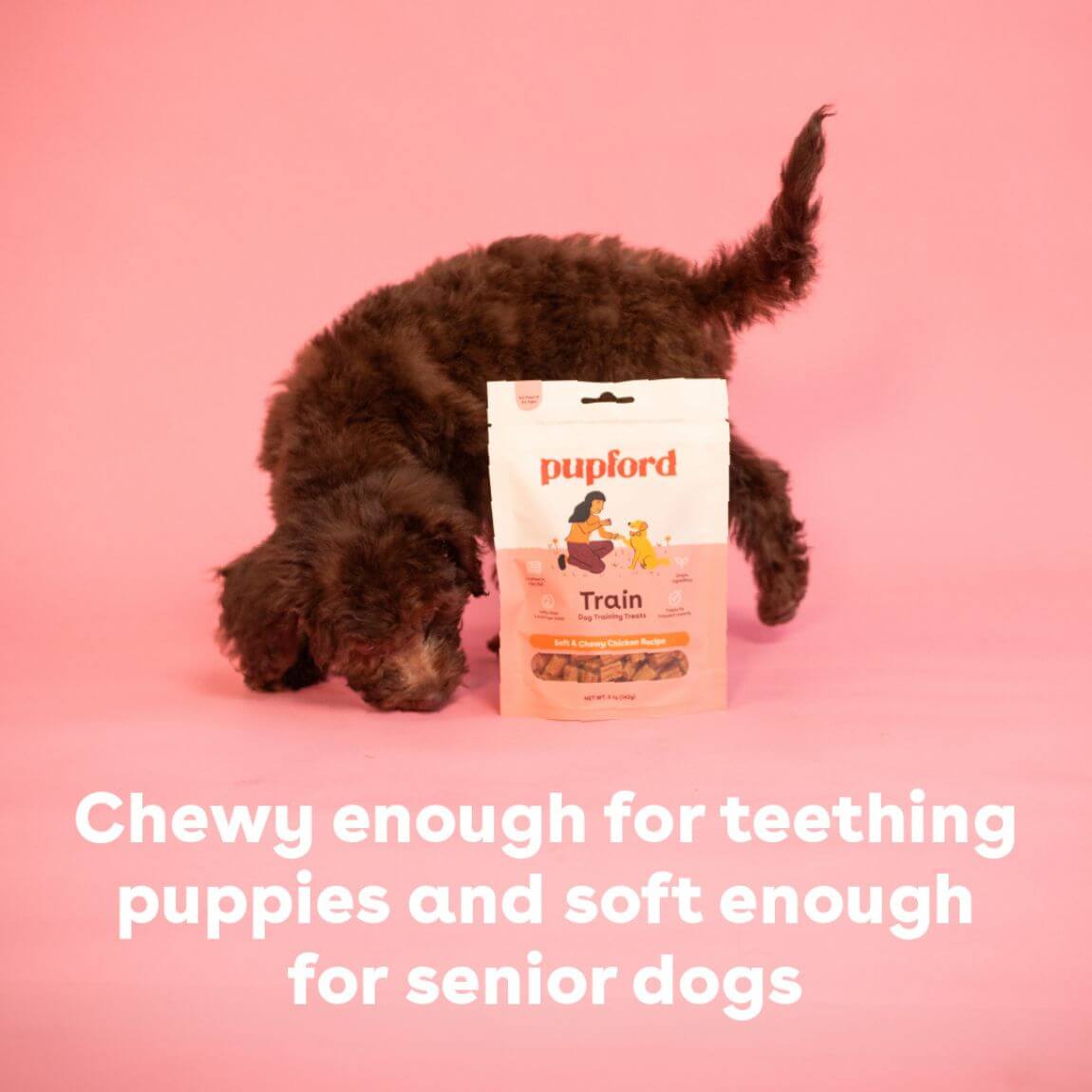 great for all dogs