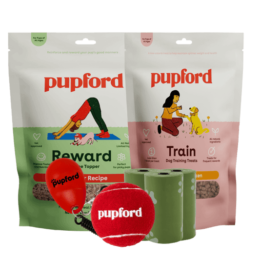 back to school bundle free gift