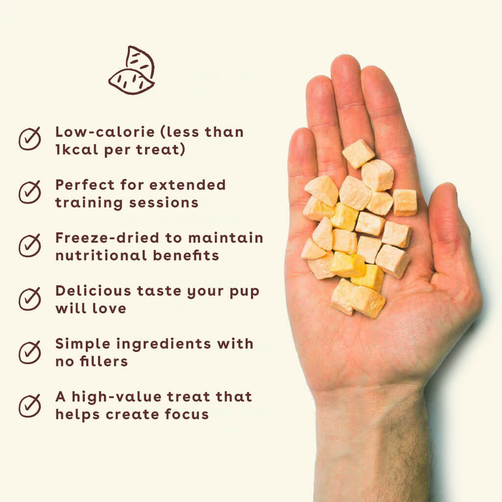 sweet potato treats in hand with benefits | Pupford 