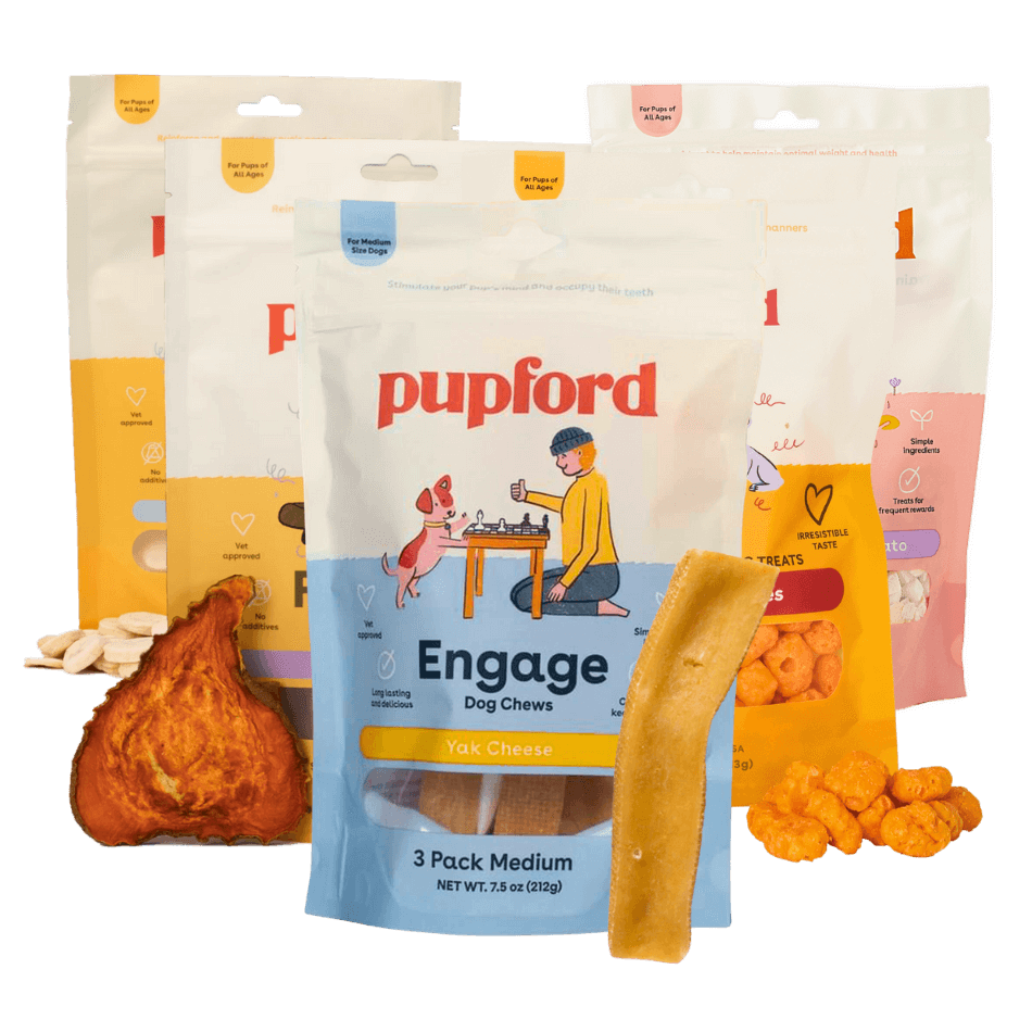 non meat dog treats