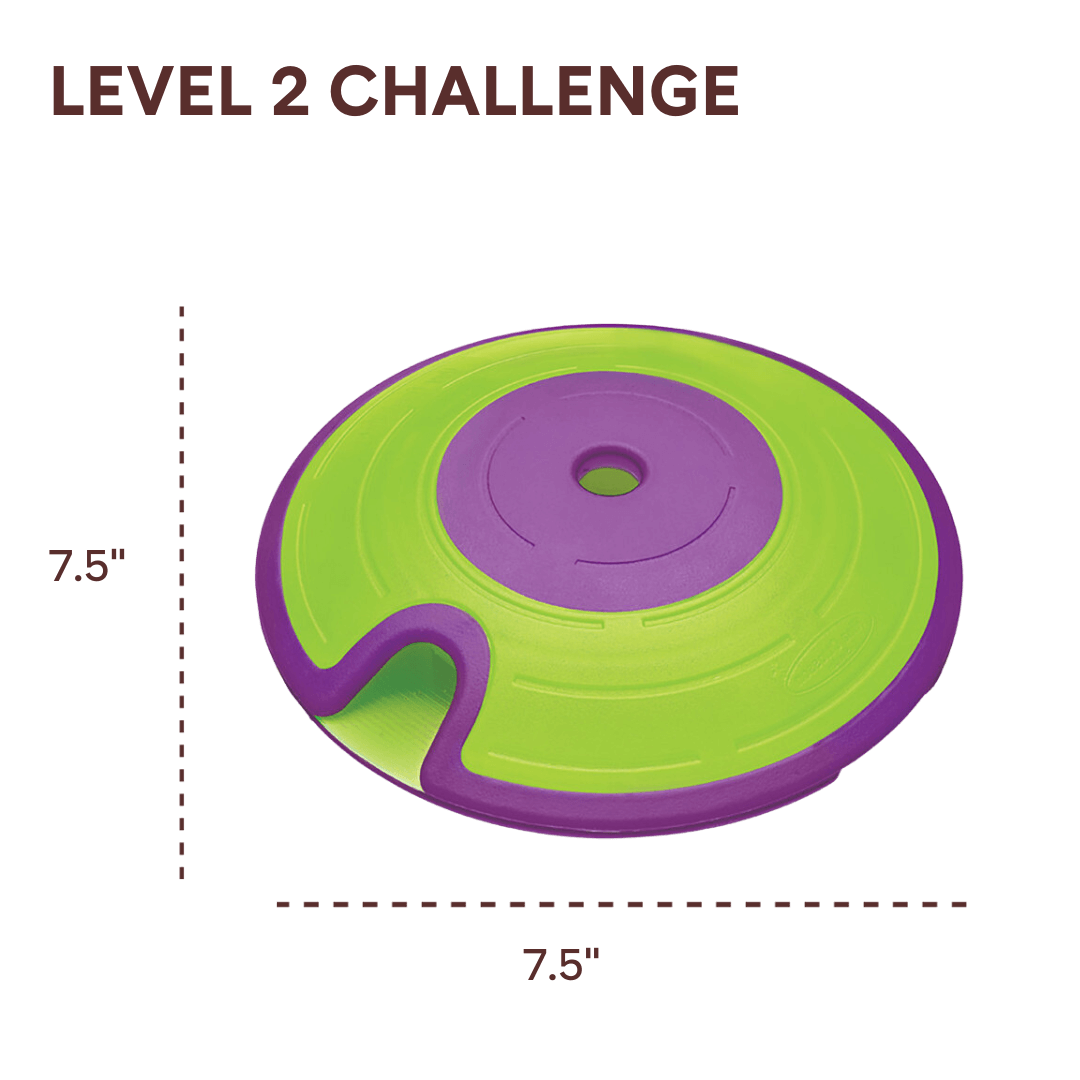 treat maze interactive puzzle measurements