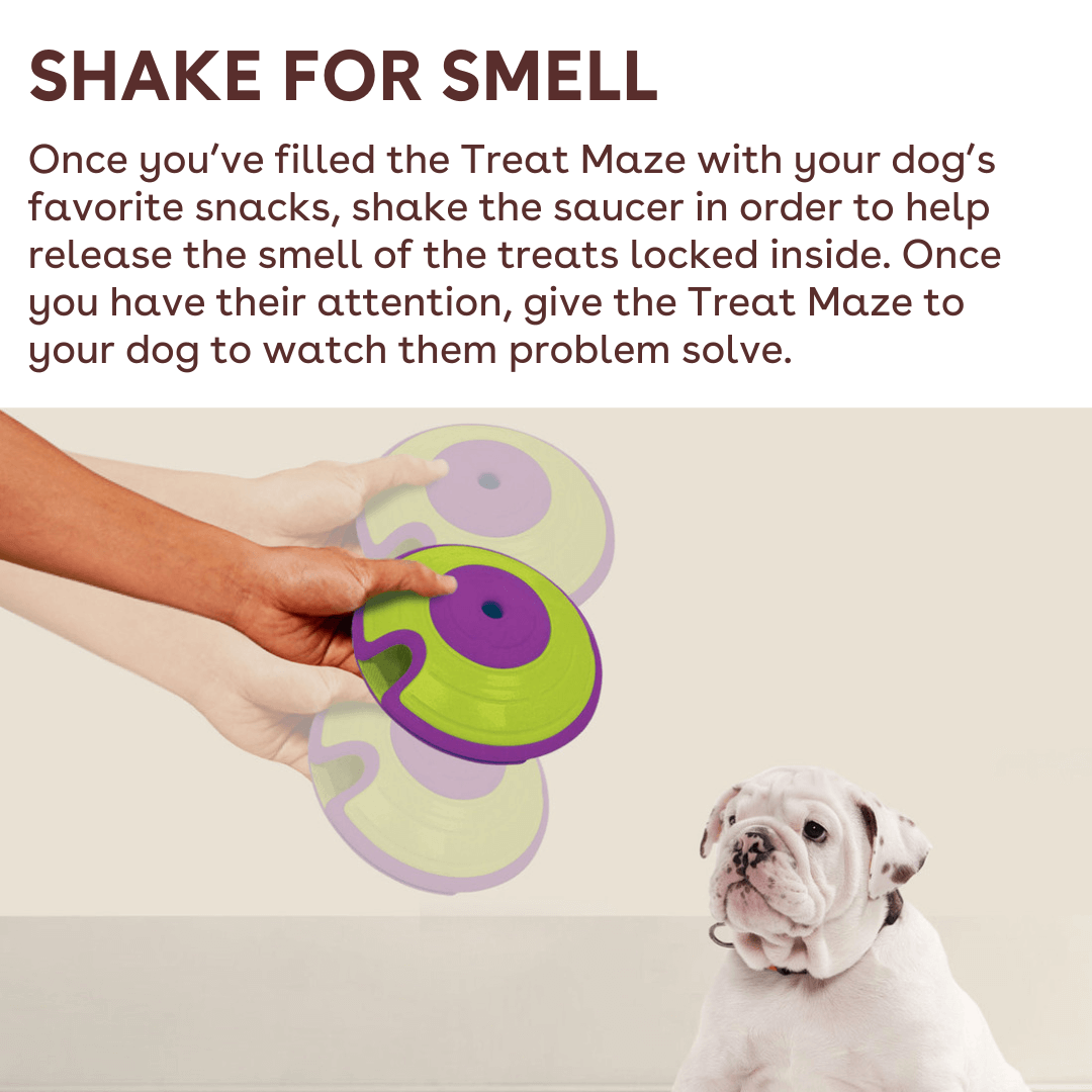 treat maze interactive puzzle shake for smell