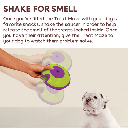 treat maze interactive puzzle shake for smell