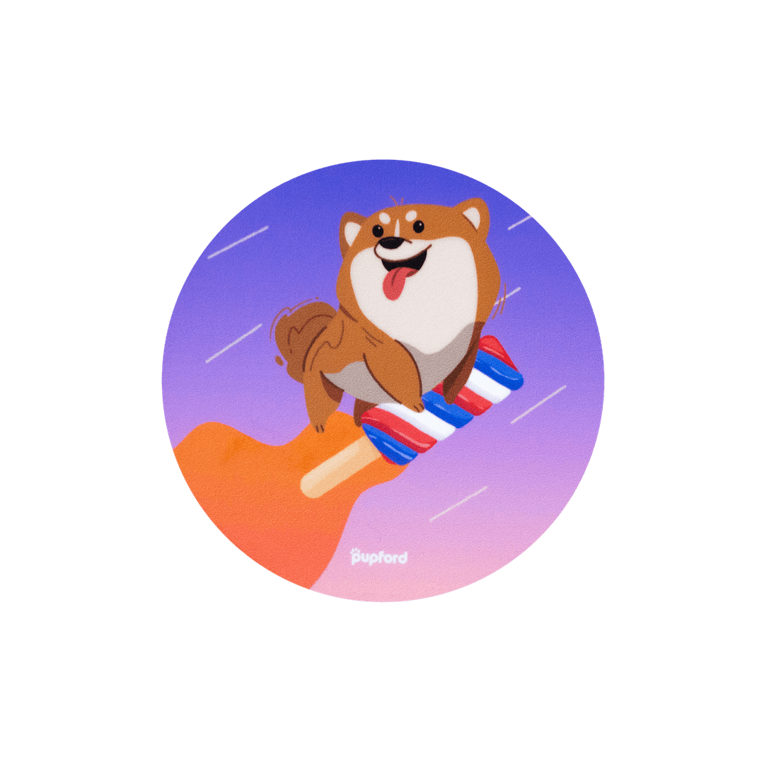blasting into summer sticker | Pupford 
