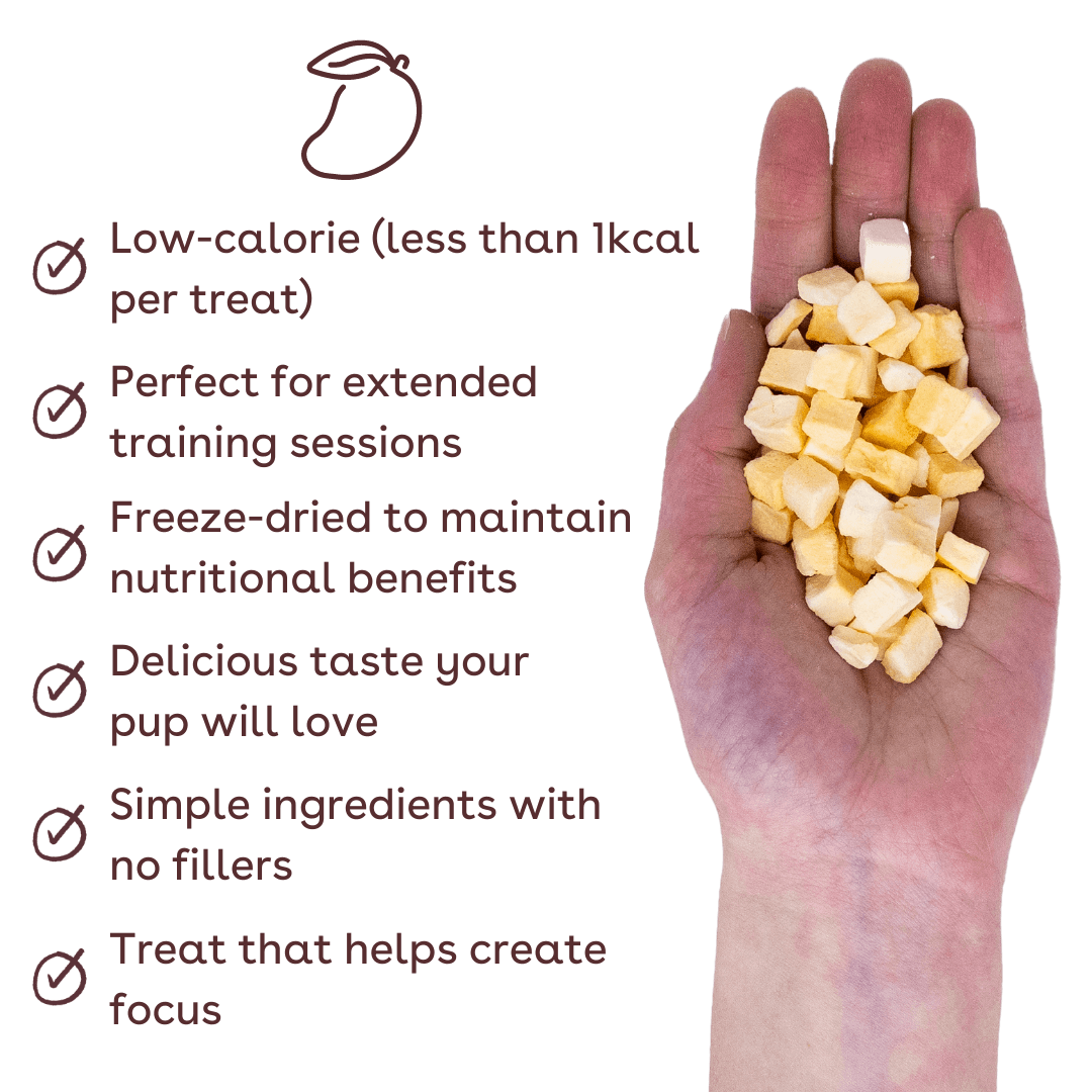 mango training treats benefits