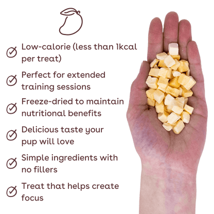 mango training treats benefits