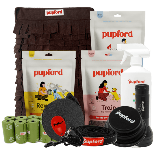 puppy and small dog new pup pack