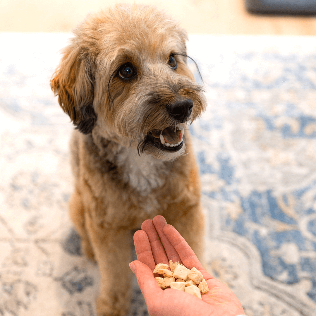 Pupford_Amazon_ImageStack_ChickenBreast6