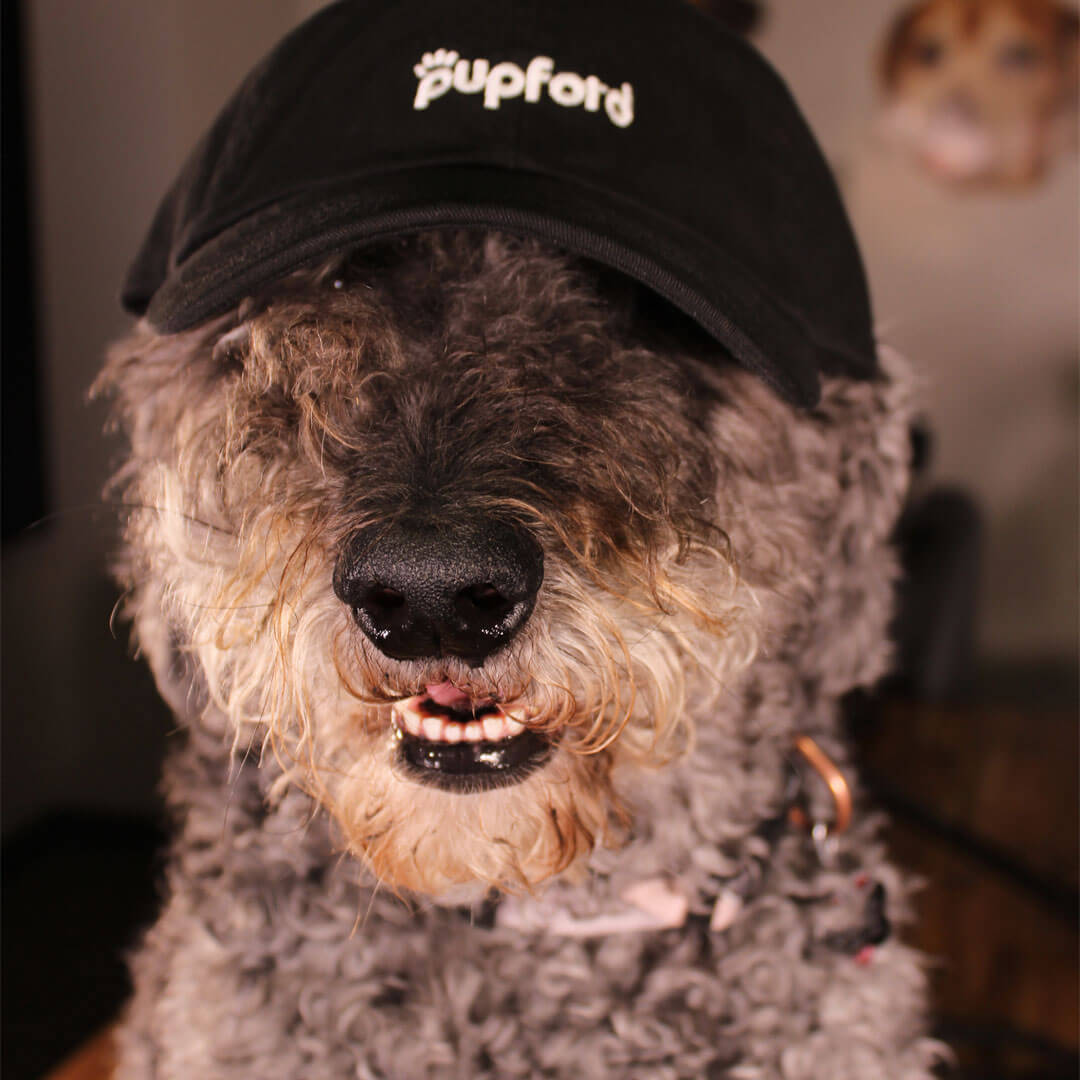 Doris-Wearing-Dad-Hat | Pupford 