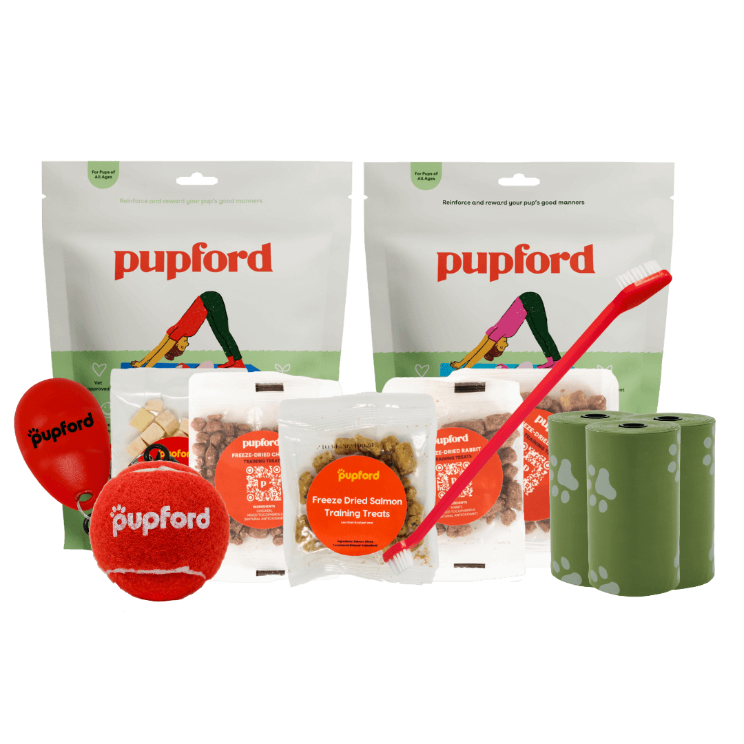 Pawsitively in Love Pack
