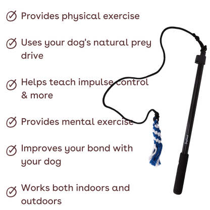 flirt pole for large dogs benefits web