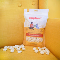 gouda on couch