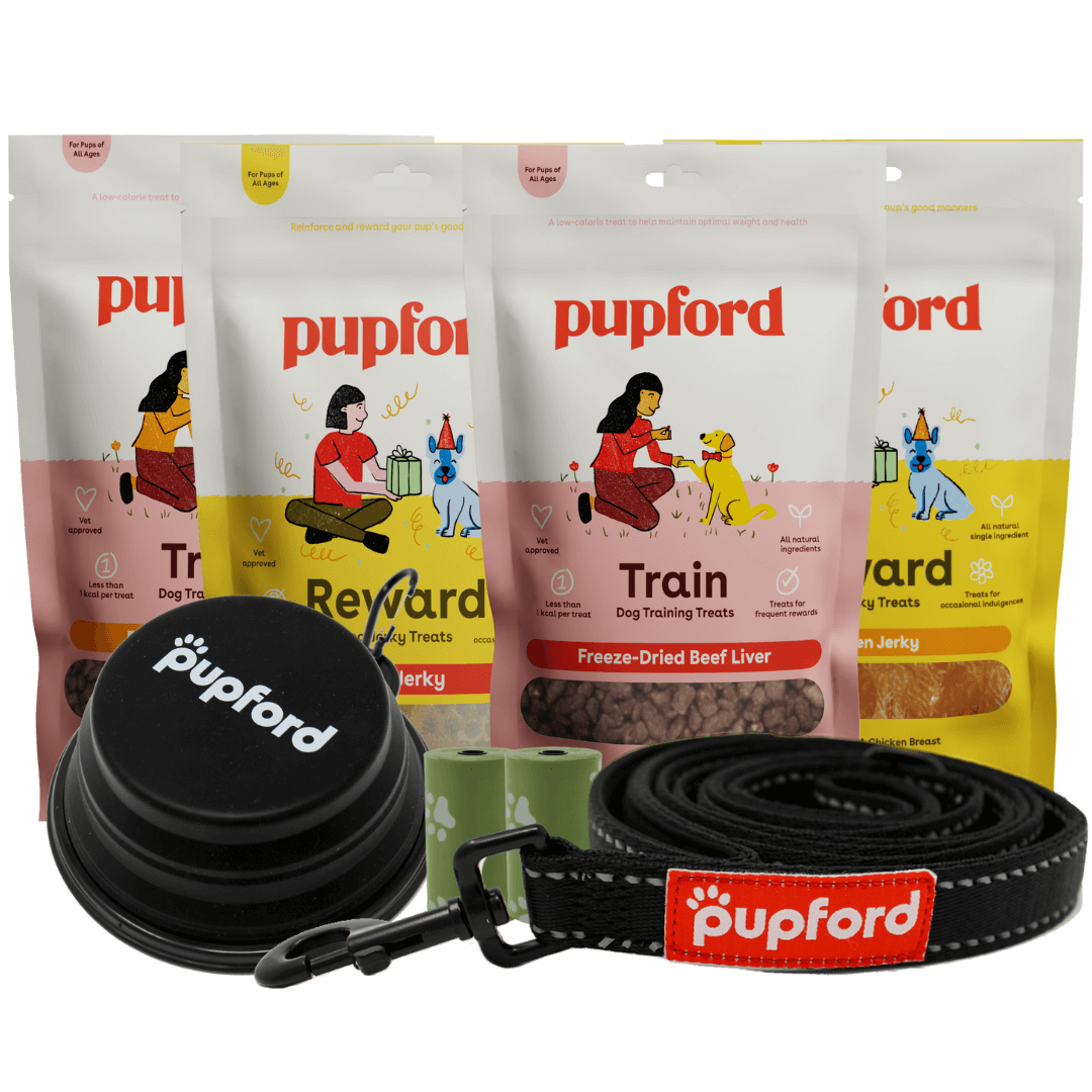adventure pups ultimate pack
