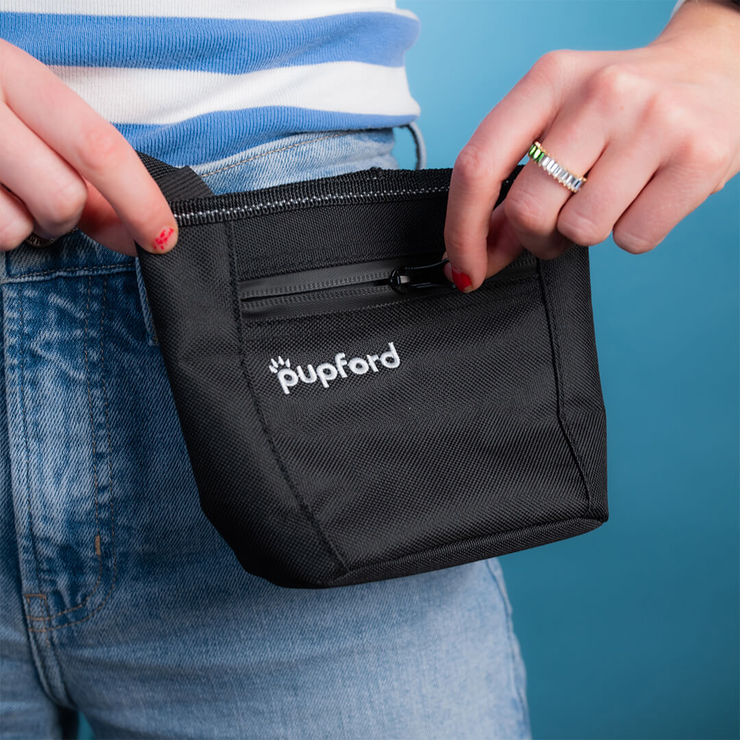 zipper on the front of the training treat pouch | Pupford 