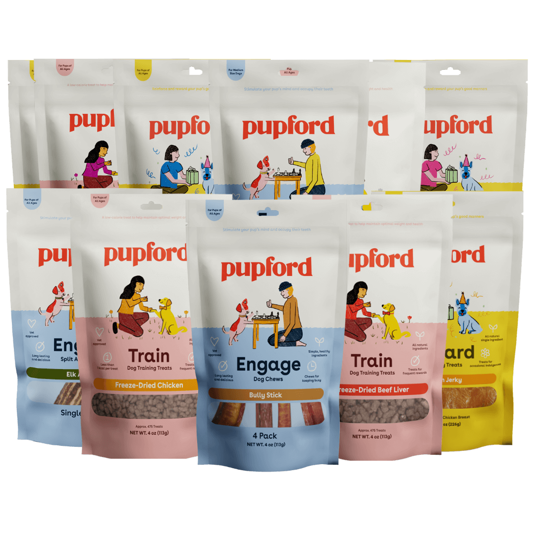 medium dog great pack