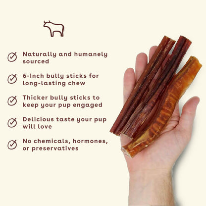 New_Bully-stick-chew-in-hand-with-benefits