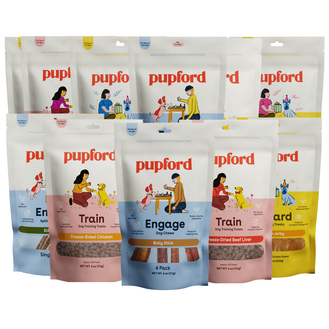 large dog great pack