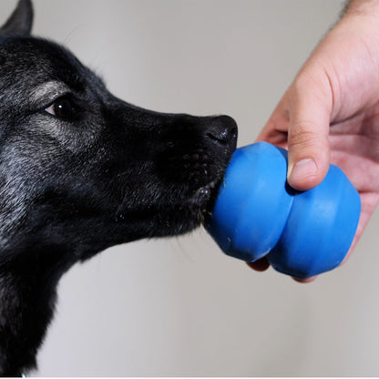 dog using double trouble chew toy | Pupford 