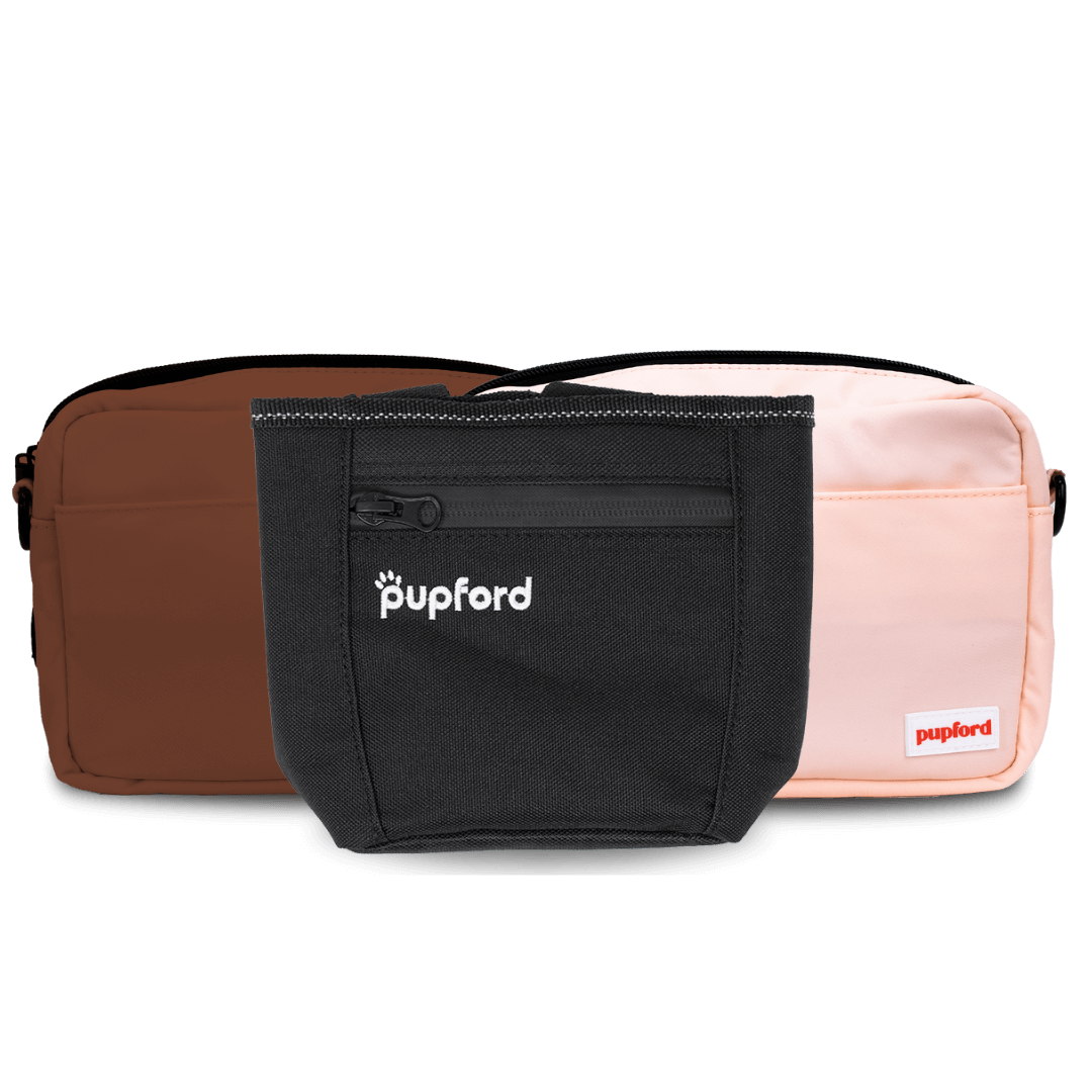 3 colors and variants of training treat pouches