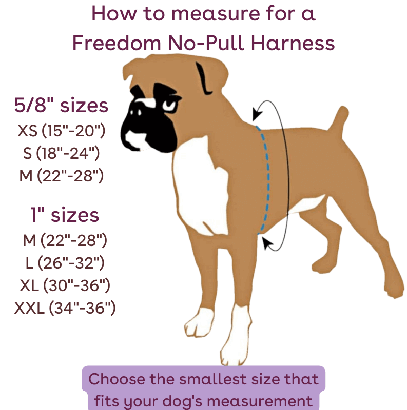 measure freedom no pull harness