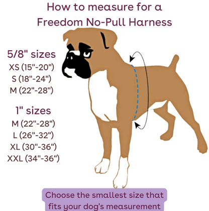 measure freedom no pull harness