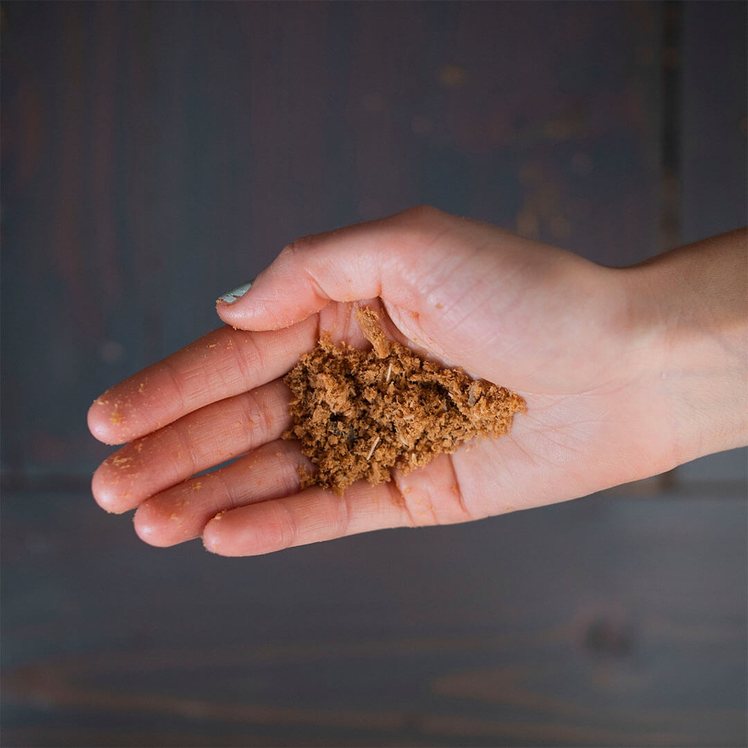 salmon meal topper in hand | Pupford 