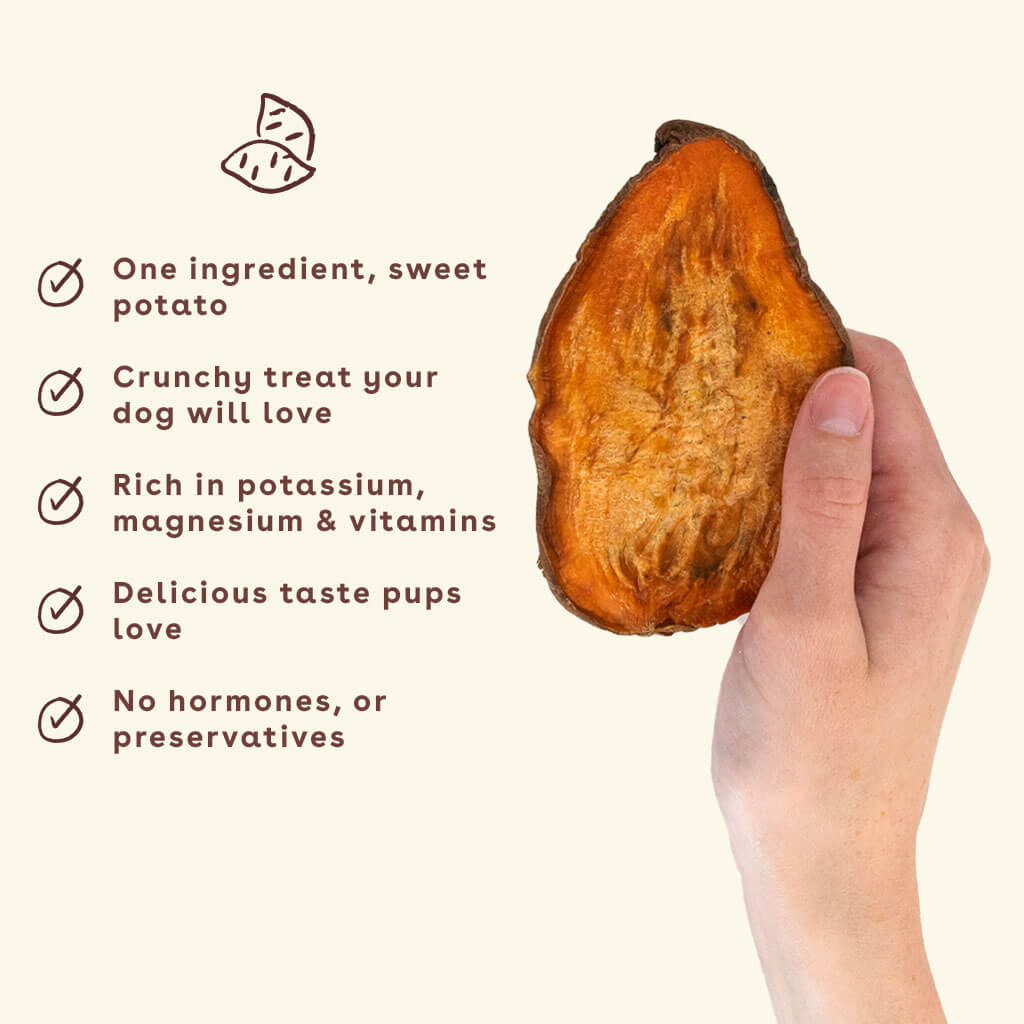 -New_Sweet_Potato-Reward-in-hand-with-benefits
